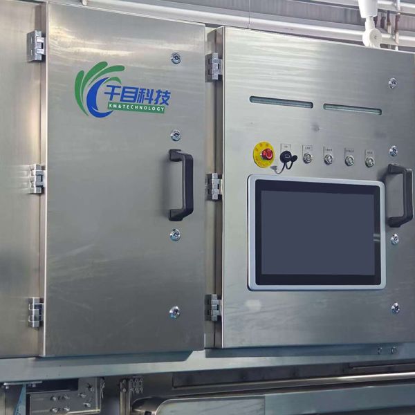 Dehydrated Sweet Potato Cube Sorting System Identification and Advanced Imaging Sorting Solution