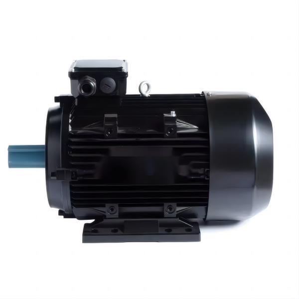 AC Motor 50/60HZ 1500RPM 380V 7.5KW Go-Gold For Coffee Machine