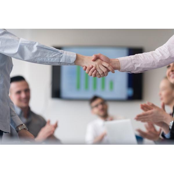 400 / 600 / 900mm Outdoor Lawn Stand LED Garden Path Lights Ac220v 3000K