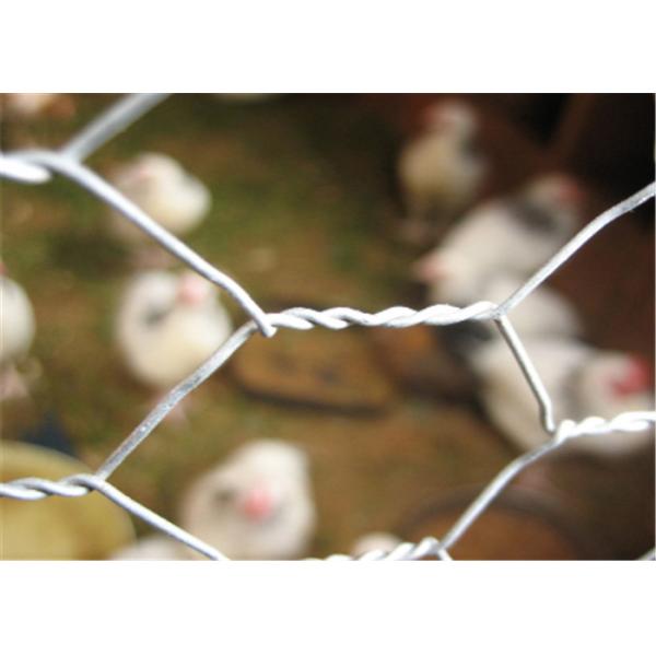304 Stainless Steel 20 GA Chicken Metal Wire Mesh Poultry Netting Hex Hole 3/4