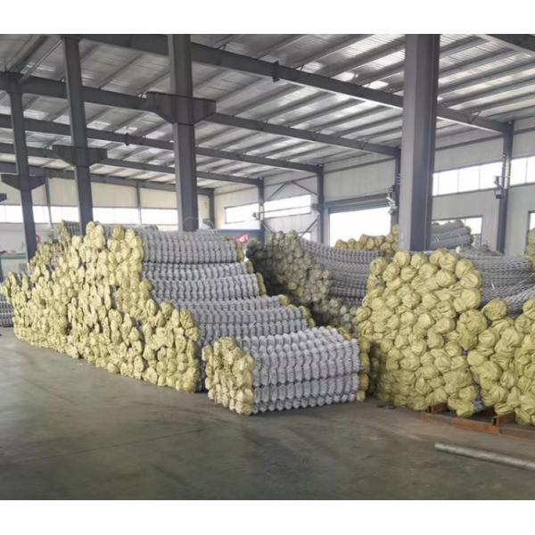 PVC загородки звена цепи датчика теннисного корта 10 покрыл временное ISO1461