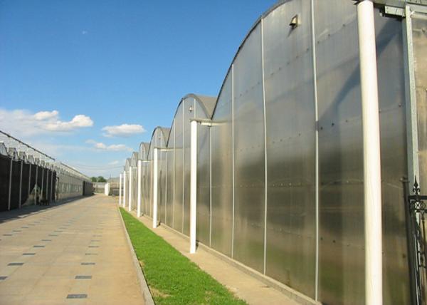 Flower Large Polycarbonate Greenhouse Strong Thermal Insulation Sides Ventilation