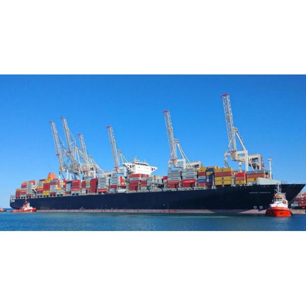 Море грузит обслуживания консолидации складирует обслуживание Шанхай LCL к Европе Германии