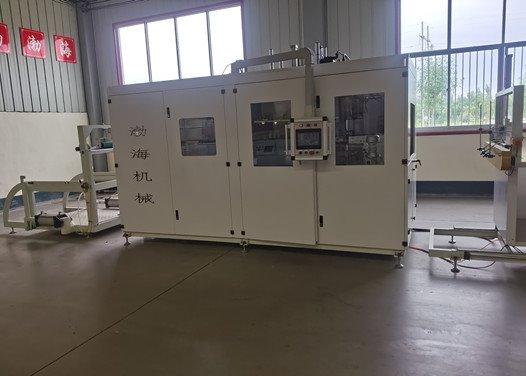 Bopp Pet Blister Forming Machine for Tray Container Food Packaging