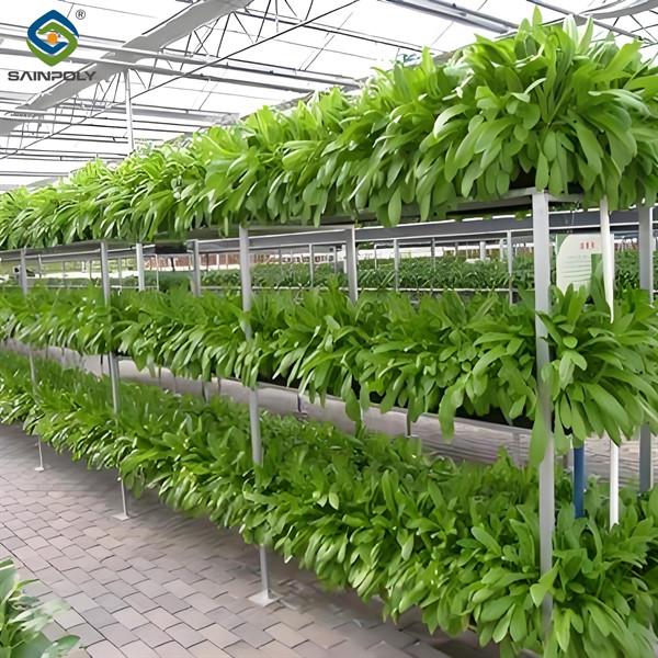 Agricultural NFT Vertical Growing Greenhouse Soilless Greenhouse Multi Span