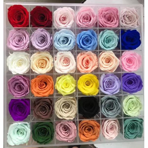 10cm Preserved Flower Rose with Stem Long 30cm Real natural fresh roses