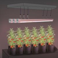 Custom Under Canopy Grow Lights 4Ft Dimmable LED Grow Lights 120W