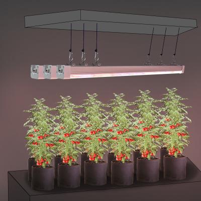 Custom Under Canopy Grow Lights 4Ft Dimmable LED Grow Lights 120W