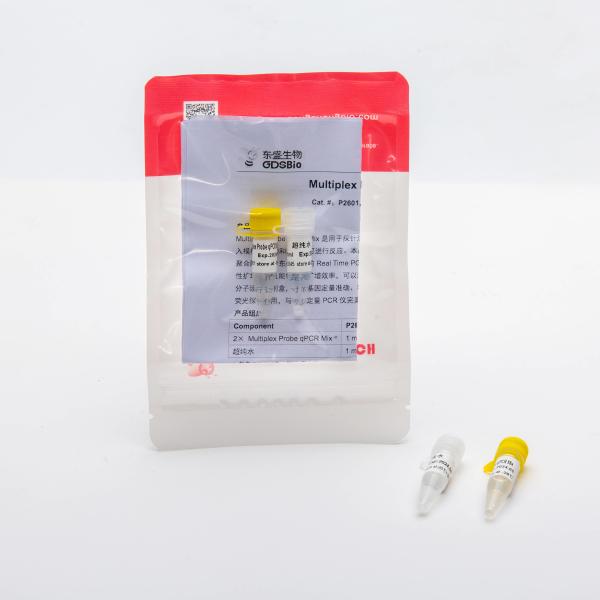 Multiplex Probe qPCR Mix for DNA real time PCR 100ml
