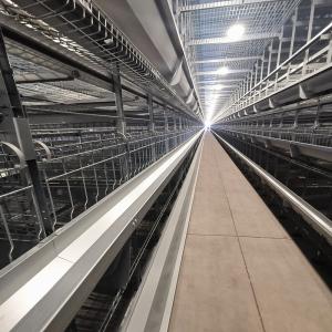 54-384 Birds/Set Layer Bird Cage , SONCAP Battery System Of Poultry Farming