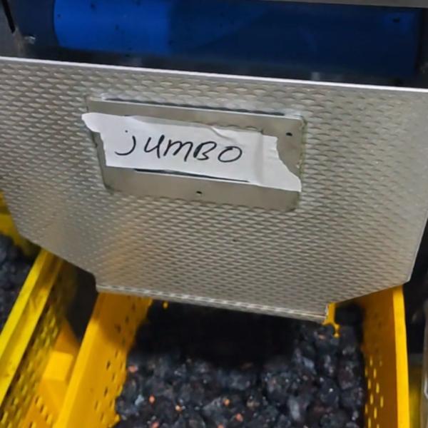 Smart Dates Sorting Machine With AI-powered Detection, 6 lanes+10 outlets, 1.8 Tons per hour, Stainless Steel