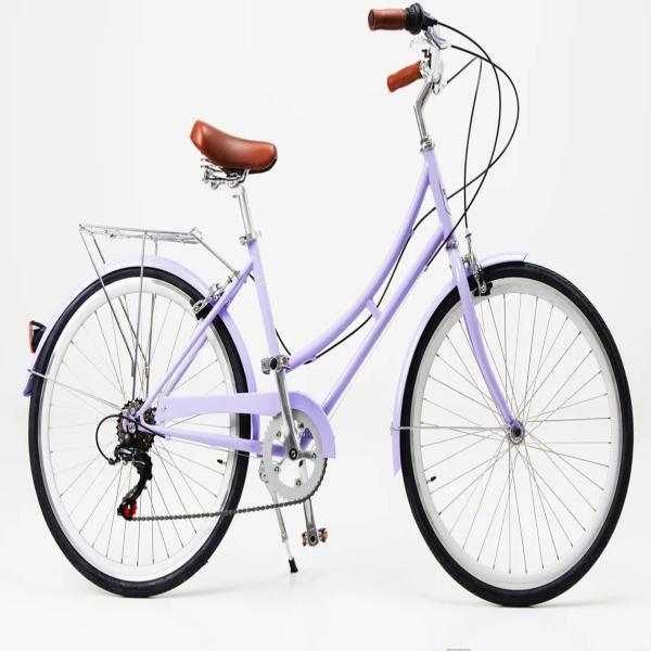 6 Speed Adult Women's Comfort Bike Vintage Lady Fitness City Bicycle with Basket