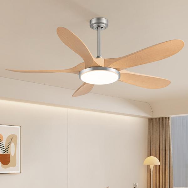 Manufacturer 56-Inch Modern Ceiling Fan With 5 ABS Blades And Iron Lamp Body DC Motor Remote Control For Living Room