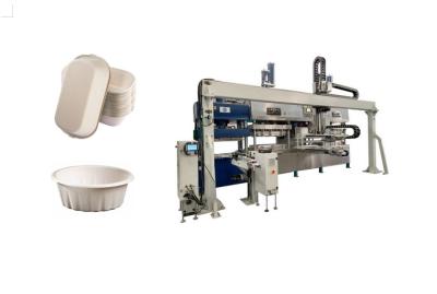 Polpa biodegradável carne moldada Tray Machine