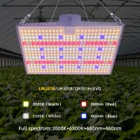 Lampe de culture LED à intensité variable Quantum Board 100W 200W 300W pour la culture domestique