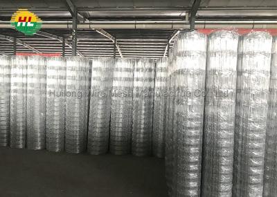 Cerca galvanizada de alta elasticidade do campo exploração agrícola comum tecida de aço de prata da dobradiça do fio de 4 pés que cerca em Rolls