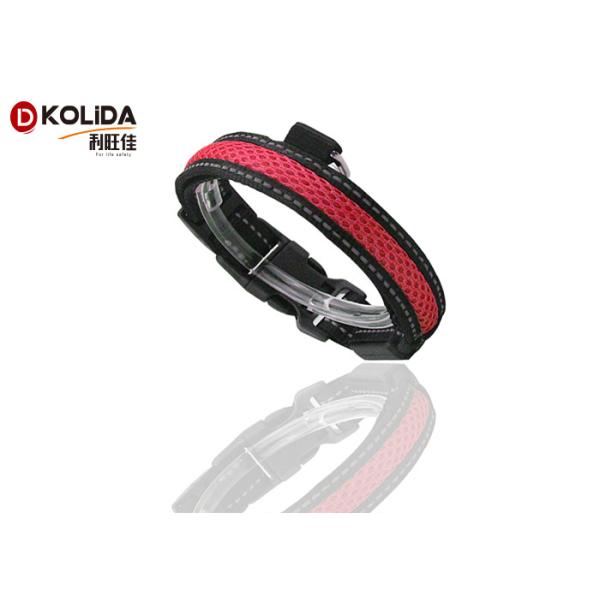Nylon Webbing 100% Eco - Friendly Nighttime Safety LED Dog Collar Double For Small Dogs