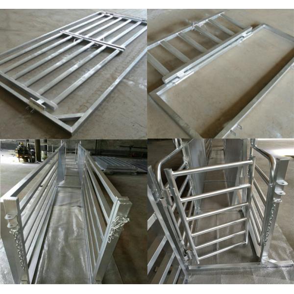 30*60*1.6mm Oval Pipe economic Full Welded Used Horse Corral Panels For Farm