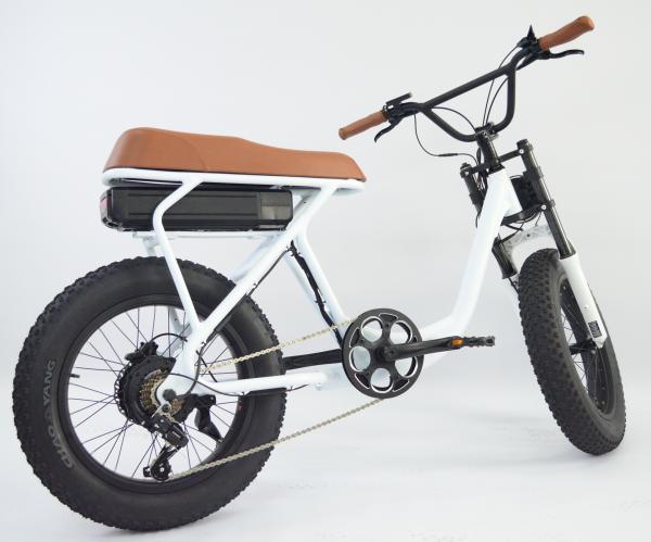 20*4.0 Fat Tire Electric Assisted Bicycle for laday women madam