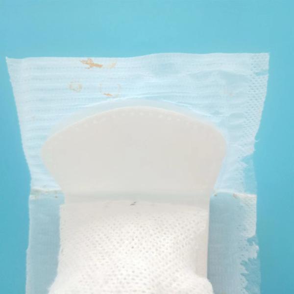 Certificado ISO9001 CE Anión de hierbas personalizadas para mujeres 2022 Panty Liner de incontinencia