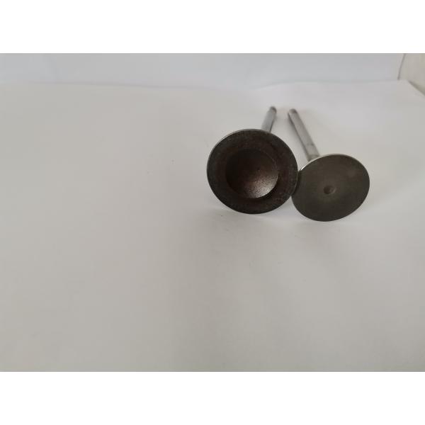 4408AX Diesel Engine Valve For AUDI / VW