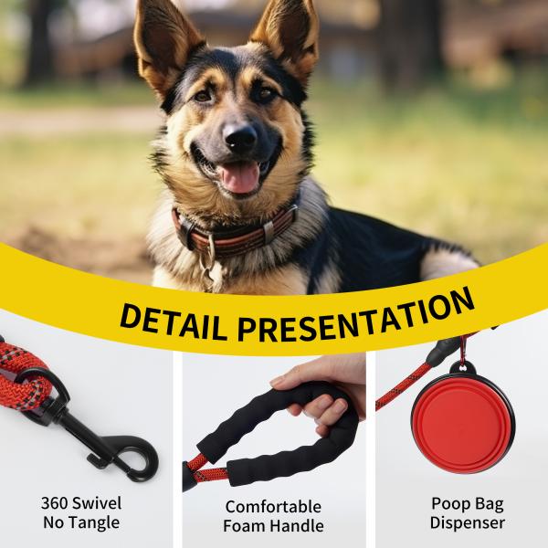 Reflective Nylon Dog Leash Acceptable OEM ODM Manufacture All-Season Market