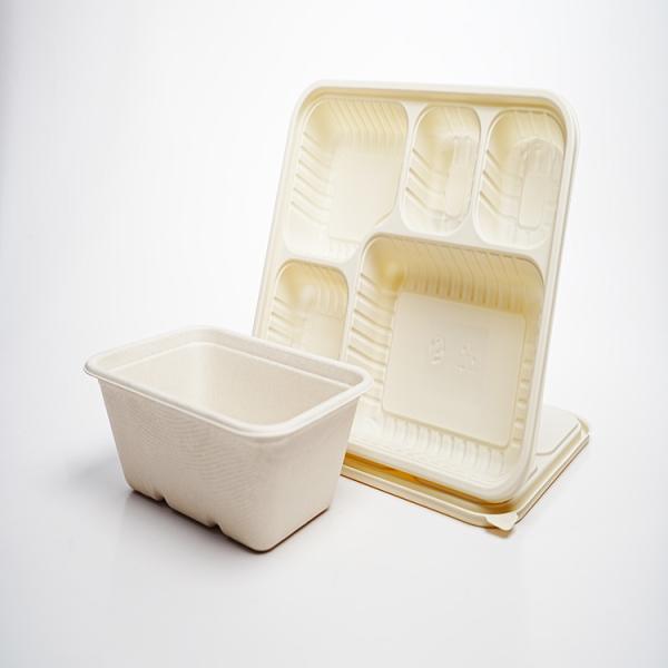 Customized Wholesale Eco-friendly Packaging Biodegradable Corn Residue Disposable Takeaway Food Box Cover