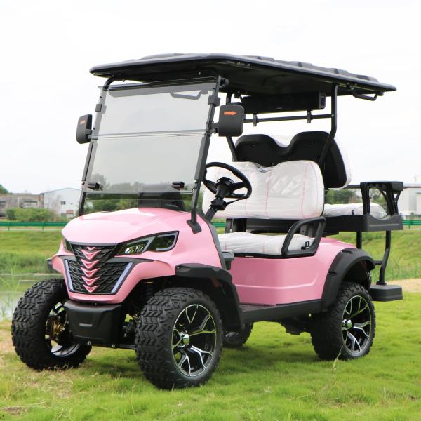 Electric Golf Cart With Canopy 60v 100ah Lead Acid Battery Front Bumper And Radio