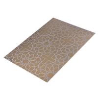 espessura decorativa de gravação com água-forte de aço inoxidável das placas 3mm da chapa metálica 4x8