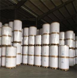 C1S SBS Paper Board 250gsm-400gsm FBB Board One Side Coated White Cardboard