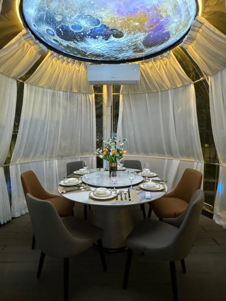 PC Steel Structure Bubble Geodesic Moveable Dome Tent  Green House Outdoor Glamping Environmentally Friendly