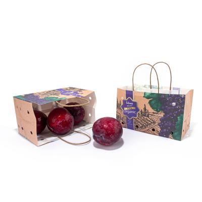 Sacos de papel do fruto do punho da corda da torção para o empacotamento alaranjado das uvas