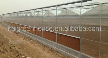 Hydroponic Greenhouse Strawberry Length 30-100m Suitable for Vegetable Fruits Flowers