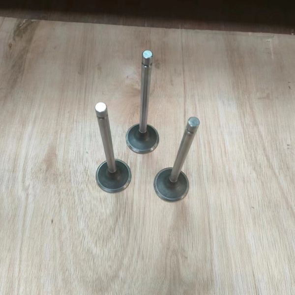 6L ISLe QSL8.9 QSL9 Guide Tube 394264 Exhaust Valve 4089762 3969637 Intake Valve 4089761 3970727 Excavator