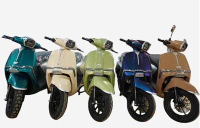 LY-JHG12Electric motorcycle Electric bicycle adult electric scooter