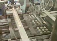 El paso multi de llavero Proofer automatizó la máquina de la fabricación de pan para la panadería