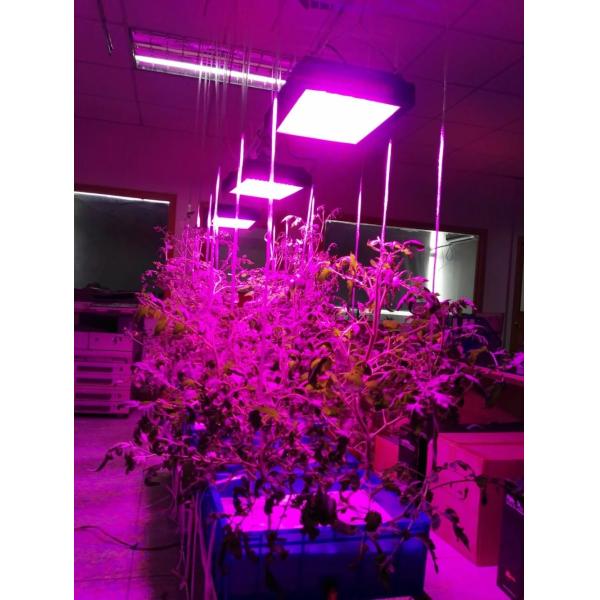 140W UFO High Bay LED Grow Lights Outdoor Full Spetrum No Fans 3 Years Warranty