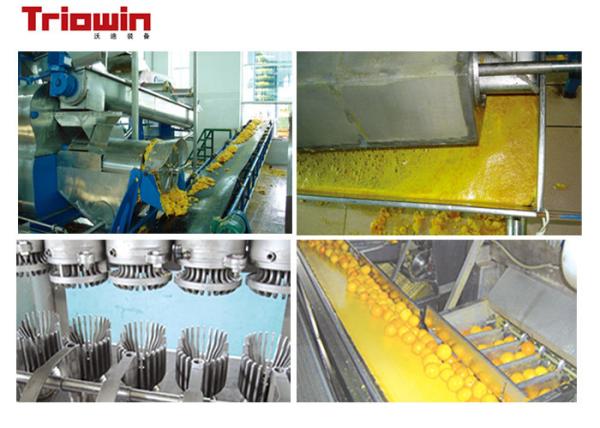 20 Tons / DayFruit And Vegetable Processing Line Citrus Extractor Stainless Steel Material