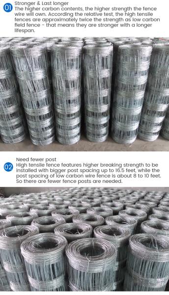 0.8 X 0.8 Inch 3d Welded Wire Mesh Fence Hot Dippped Galvanized