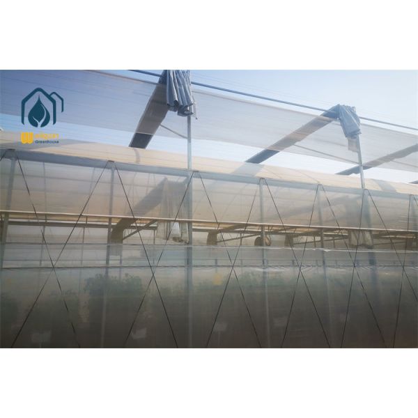 Complete Hydroponic Multi Span Greenhouse with Nutrient Delivery and Recirculation System...