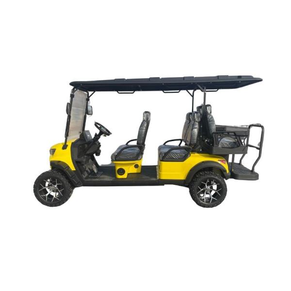 2-10 Seater Electric Golf Buggy Community Golf Cart Car