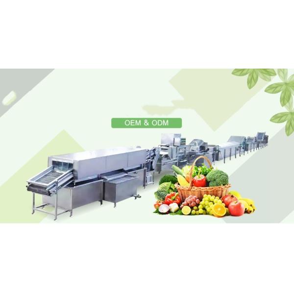 Máquina de secagem ajustável 5.5kw da pimenta preta de máquina de processamento da manga da velocidade