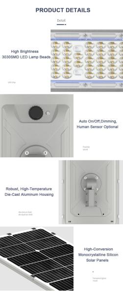 Aluminum All in One Outdoor LED Solar Street Light Intelligent Solar Charge Controller for 3-5 Rainy Days Lighting Time