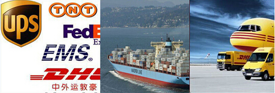 Resistance Temperature Detector RTD PT100 Temperature Sensor with head