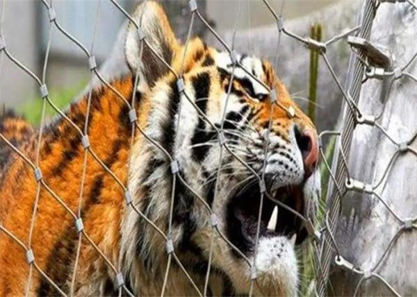 Zoo Metal Stainless Steel Cable Mesh Ferruled Ultrasonic Bath Aviary Leopard Cable