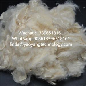 Soybean Protein Fiber