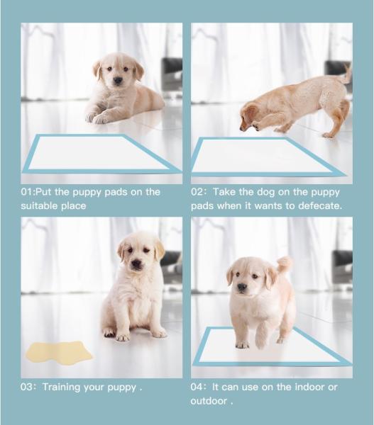 High Absorbent Puppy Training Pads