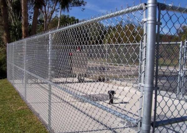 Hdg Wire Mesh 6feet Steel Chain Link Fencing 50mm×50mm Backyard
