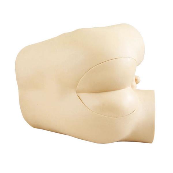 Prostate , rectum palpation Clinical simulation / ture feeling Rectal Simulator