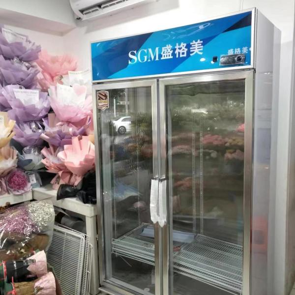 Fruits Vegetable Display Chiller 604L Commercial Vegetable Refrigerator